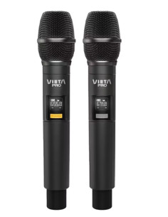 VIETA PRO PARTY MIC DUO